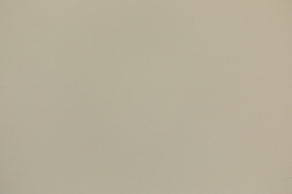 Soft Ivory